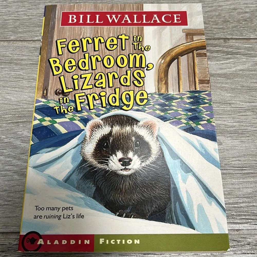 15 Chapter Books - Picture 7 of 16